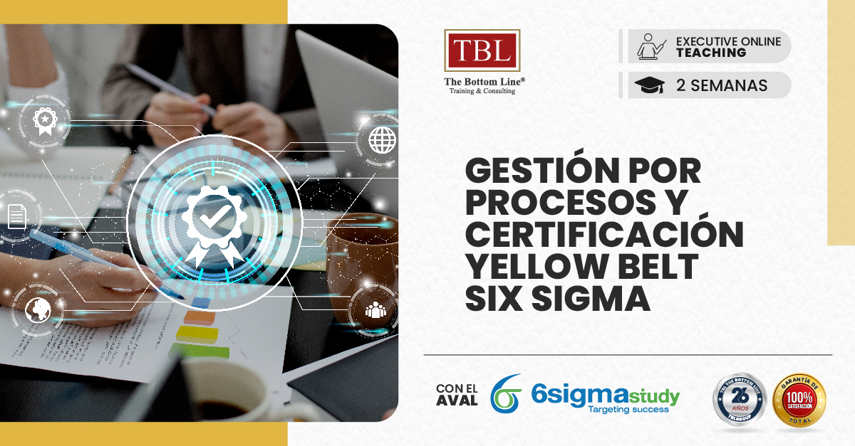 REDES - GESTION POR PROCESOS Y CERTIFICACION YELLOW BELT SIX SIGMA - 24 FEBRERO 2026-04
